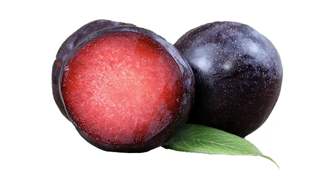 Velvet bliss plums