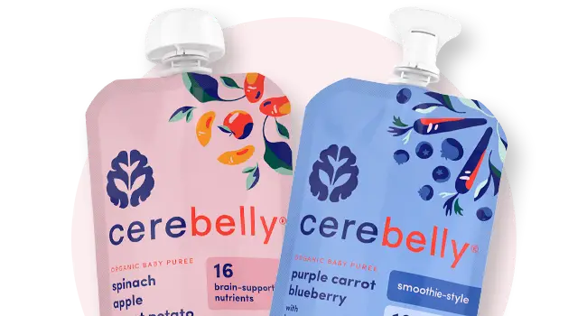 Cerebelly pouches