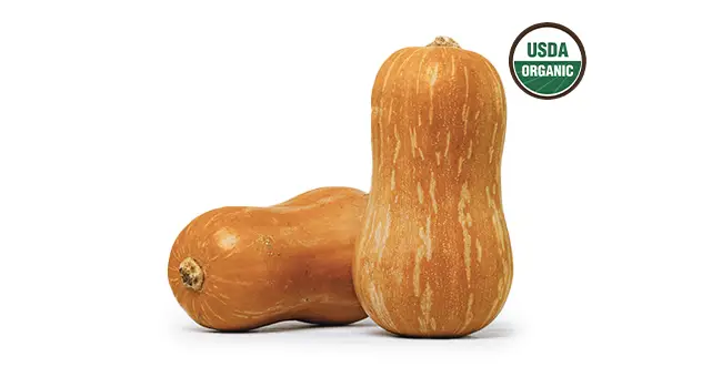 Honeynut Squash