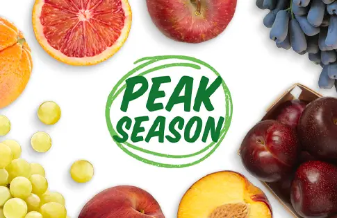 Peak Season Produce logo surrounded by produce