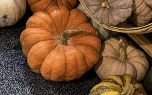 Pumpkins: Patching it Together