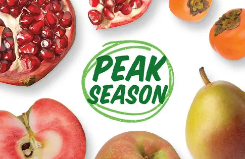 Peak Season Produce logo surrounded by produce