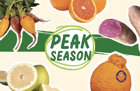 Peak season produce logo surrounded by produce