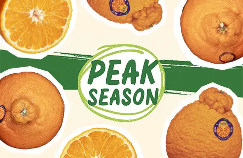 Peak season produce logo surrounded by produce